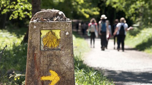 Walking the Camino Santiago: Alone, with a partner or in a group?     What should you do?